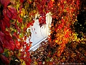 pix 019